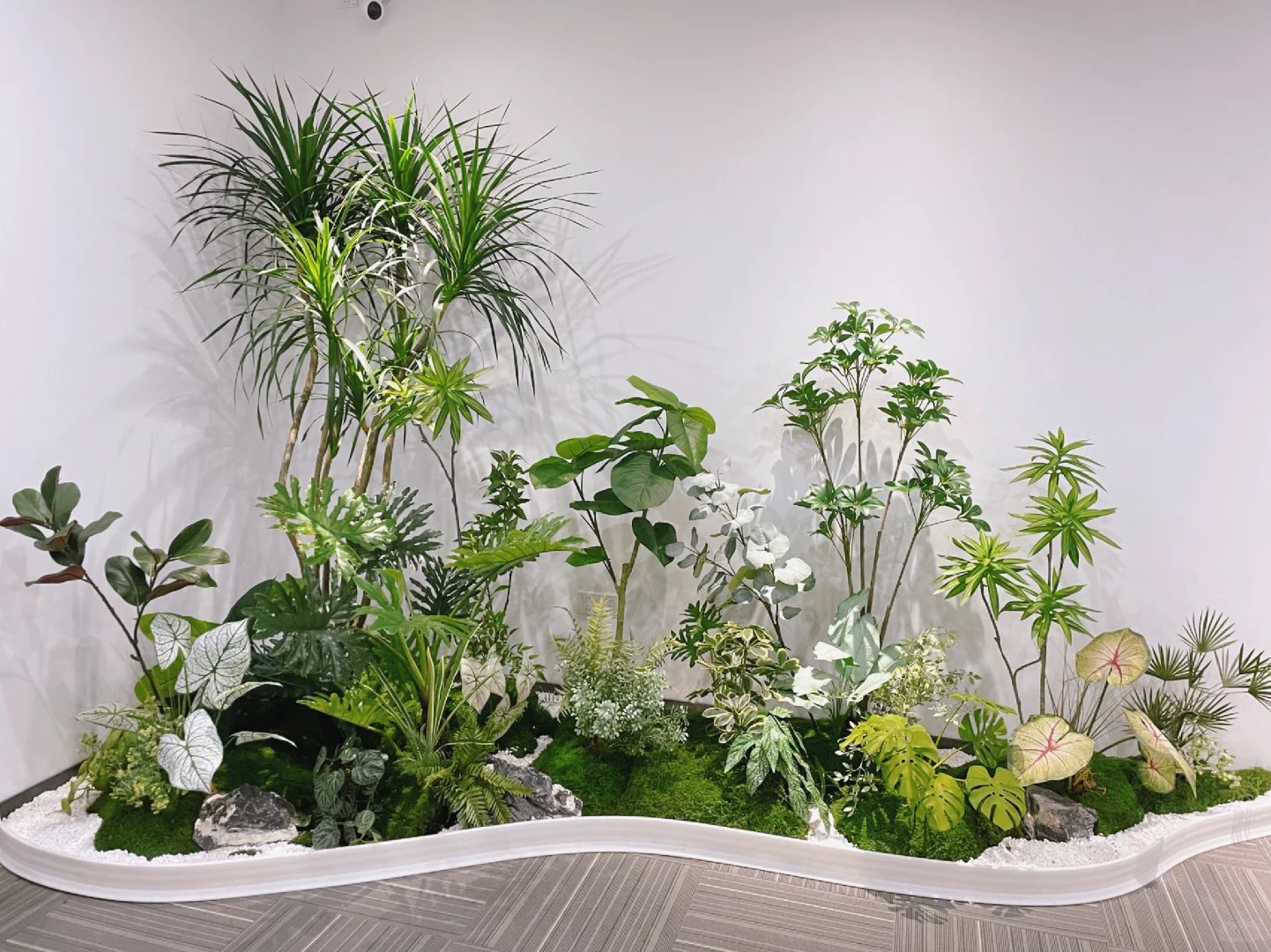 专业镇海植物租摆，为您打造别具一格的空间